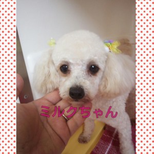PhotoGrid_1434276525995