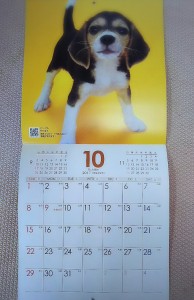16-11-16-09-31-24-116_deco