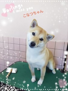 PIC00003C