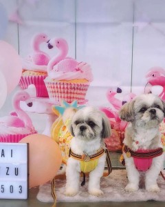 Compress_20240508_224052_2907