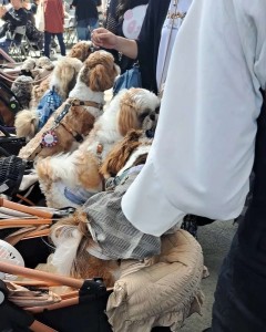 Compress_20240508_224054_4027