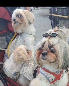 Compress_20240508_224054_4325