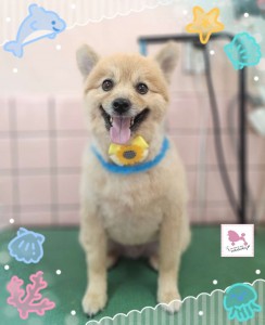 Compress_20250819_164905_5922