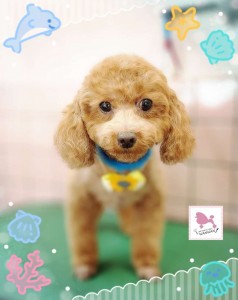 Compress_20250819_164906_6233