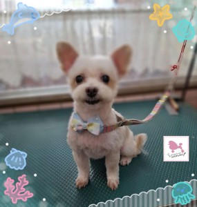 Compress_20250820_142419_9954