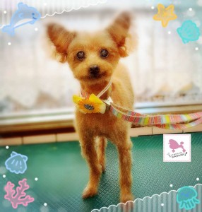 Compress_20250820_142420_0198