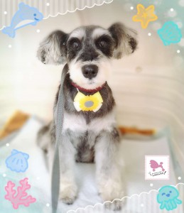 Compress_20250822_150506_6638