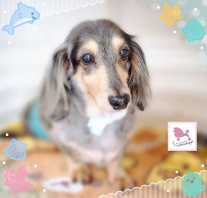 Compress_20250824_091429_9275