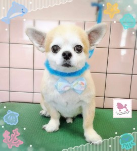 Compress_20250826_181449_9951