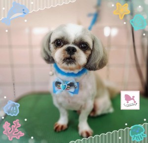 Compress_20250826_181450_0205