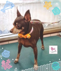 Compress_20250827_190440_0356