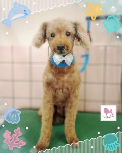 Compress_20250828_141109_9335