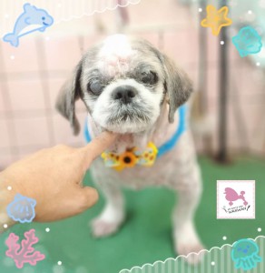 Compress_20250828_141109_9557