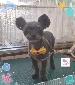 Compress_20250829_160650_0293