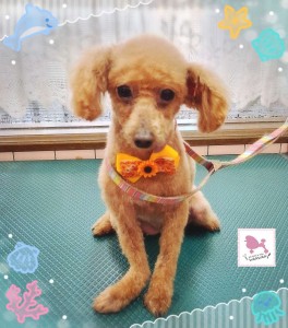 Compress_20250830_202233_3142