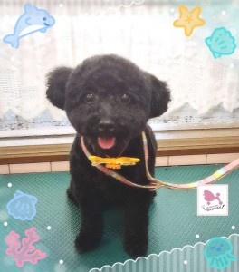 Compress_20250830_202233_3340