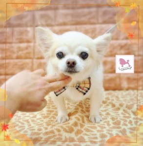 Compress_20251118_163240_0235