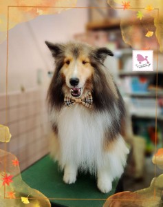 Compress_20251119_155548_8748