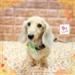 Compress_20251122_060902_2547