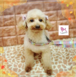 Compress_20251122_182743_3675