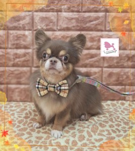 Compress_20251127_205657_7901