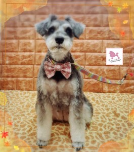 Compress_20251129_212858_8730