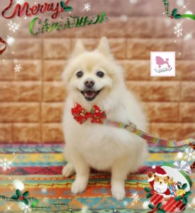 Compress_20251202_074513_3000