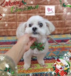 Compress_20251203_215840_0806