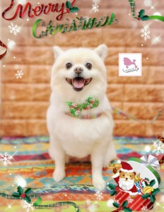 Compress_20251204_211552_2275