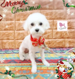 Compress_20251207_061353_3222