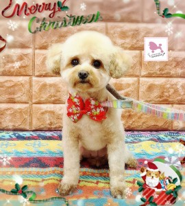 Compress_20251207_061353_3549