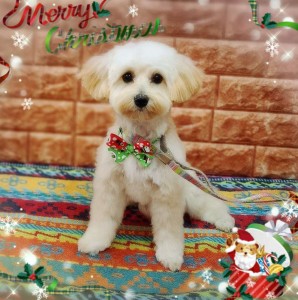 Compress_20251213_100013_3452