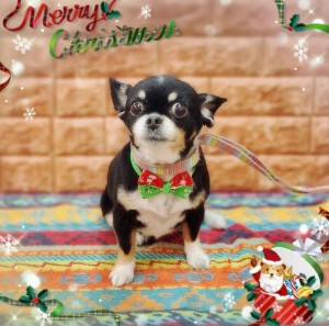 Compress_20251215_171452_2057