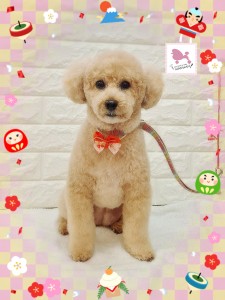 26-01-08-15-02-30-192_deco