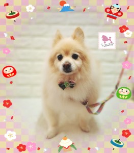 26-01-09-17-55-36-236_deco