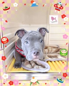 Compress_20260107_211938_8357