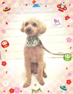 Compress_20260107_212123_3626