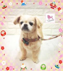 Compress_20260110_181715_5146