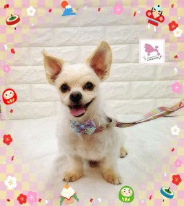 Compress_20260110_181715_5433