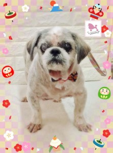 Compress_20260113_191446_6747