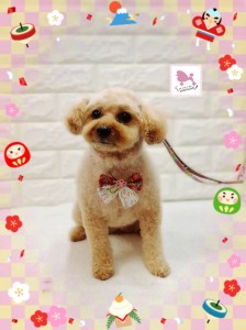 Compress_20260115_005245_5423