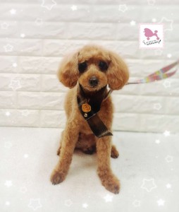 Compress_20260120_165351_1036