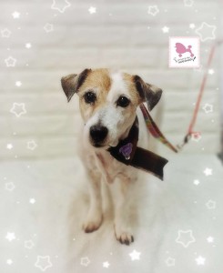 Compress_20260120_165351_1256