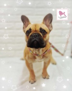 Compress_20260121_183918_8168