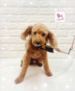 Compress_20260121_183918_8434