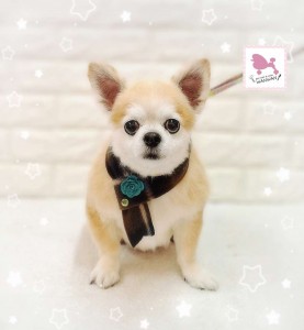 Compress_20260122_142254_4953