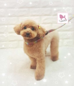 Compress_20260124_011648_8902