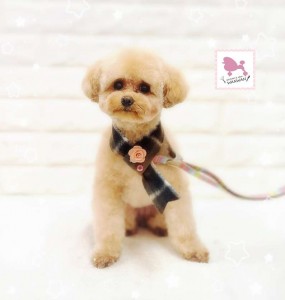 Compress_20260124_011649_9101