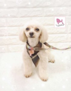 Compress_20260124_174143_3045