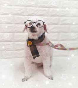 Compress_20260127_090202_2318